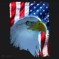 USA American Flag Eagle Distressed Style Toddler Hoodie thumb 2