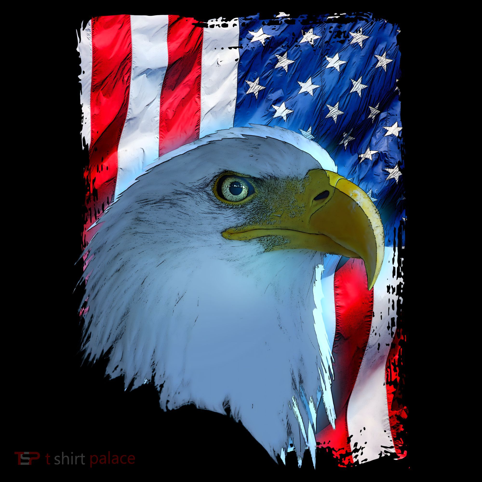 USA American Flag Eagle Distressed Style Visor