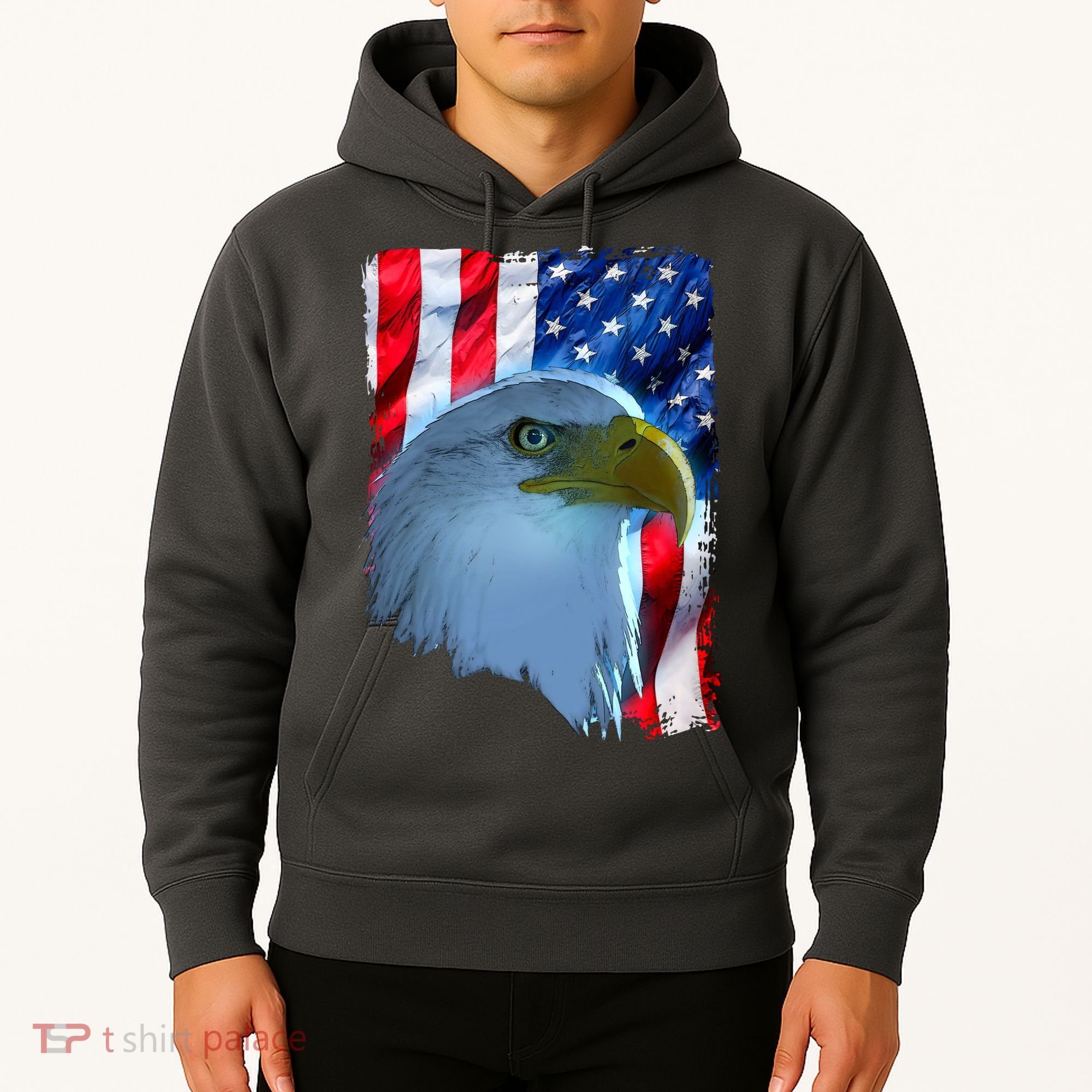 USA American Flag Eagle Distressed Style Hoodie