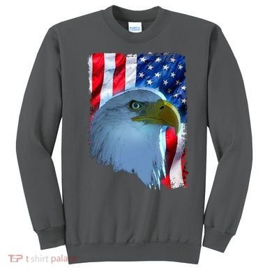USA American Flag Eagle Distressed Style Sweatshirt