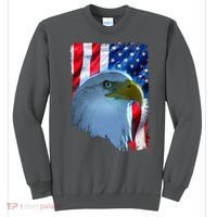 USA American Flag Eagle Distressed Style Sweatshirt thumb 0