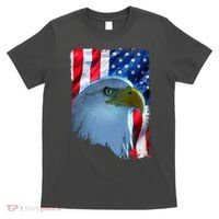 USA American Flag Eagle Distressed Style T-Shirt thumb 0