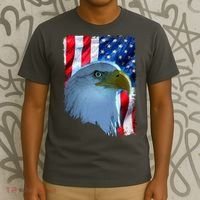 USA American Flag Eagle Distressed Style T-Shirt thumb 3