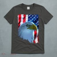 USA American Flag Eagle Distressed Style T-Shirt thumb 5