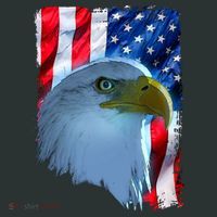 USA American Flag Eagle Distressed Style Women's T-Shirt thumb 6