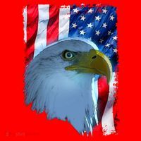 USA American Flag Eagle Distressed Style Santa Hat thumb 1