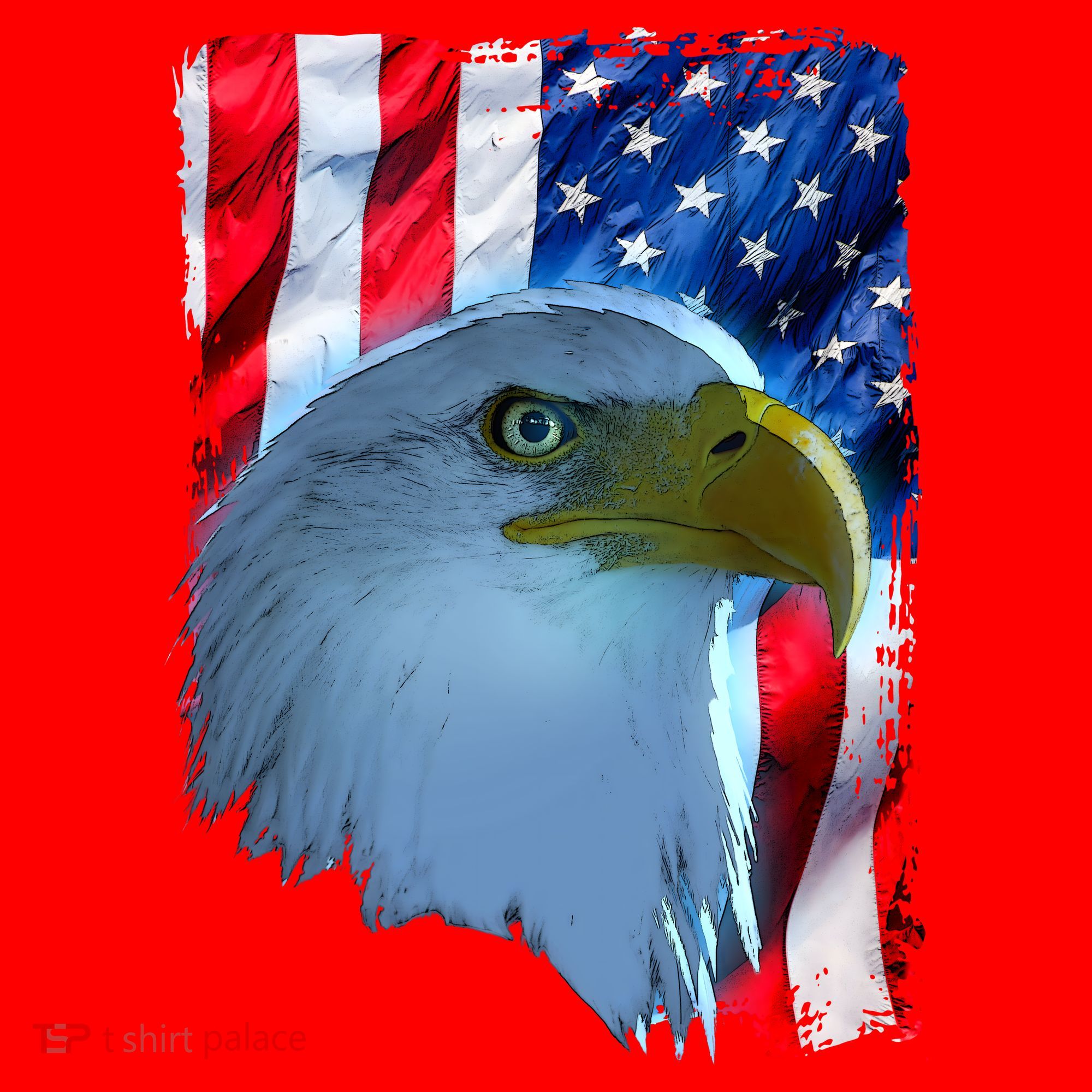 USA American Flag Eagle Distressed Style Santa Hat
