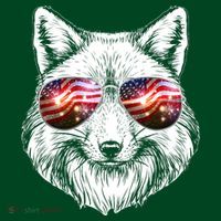 USA American Flag Fireworks Fox Coaster thumb 2