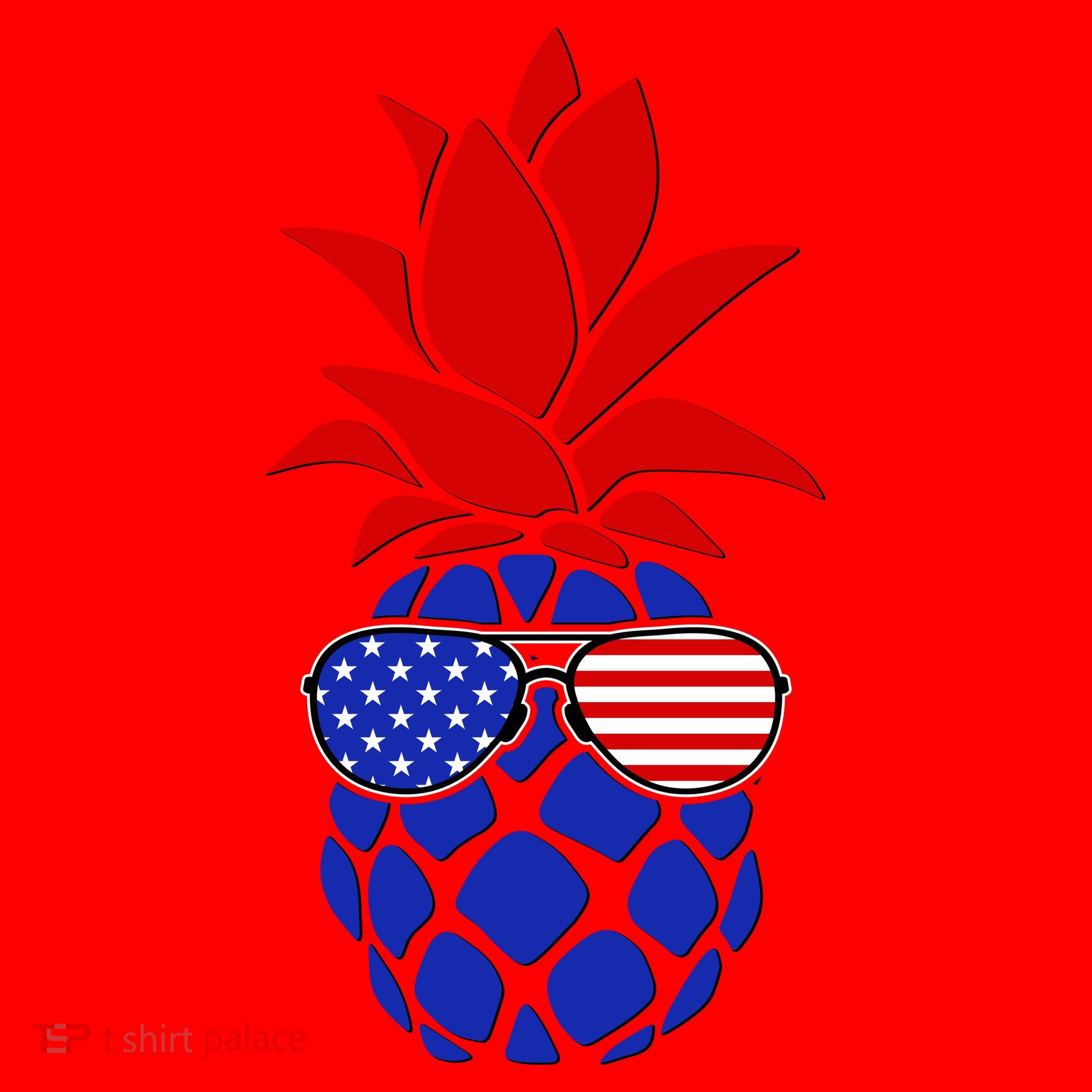 USA American Flag Sunglasses Pineapple Santa Hat