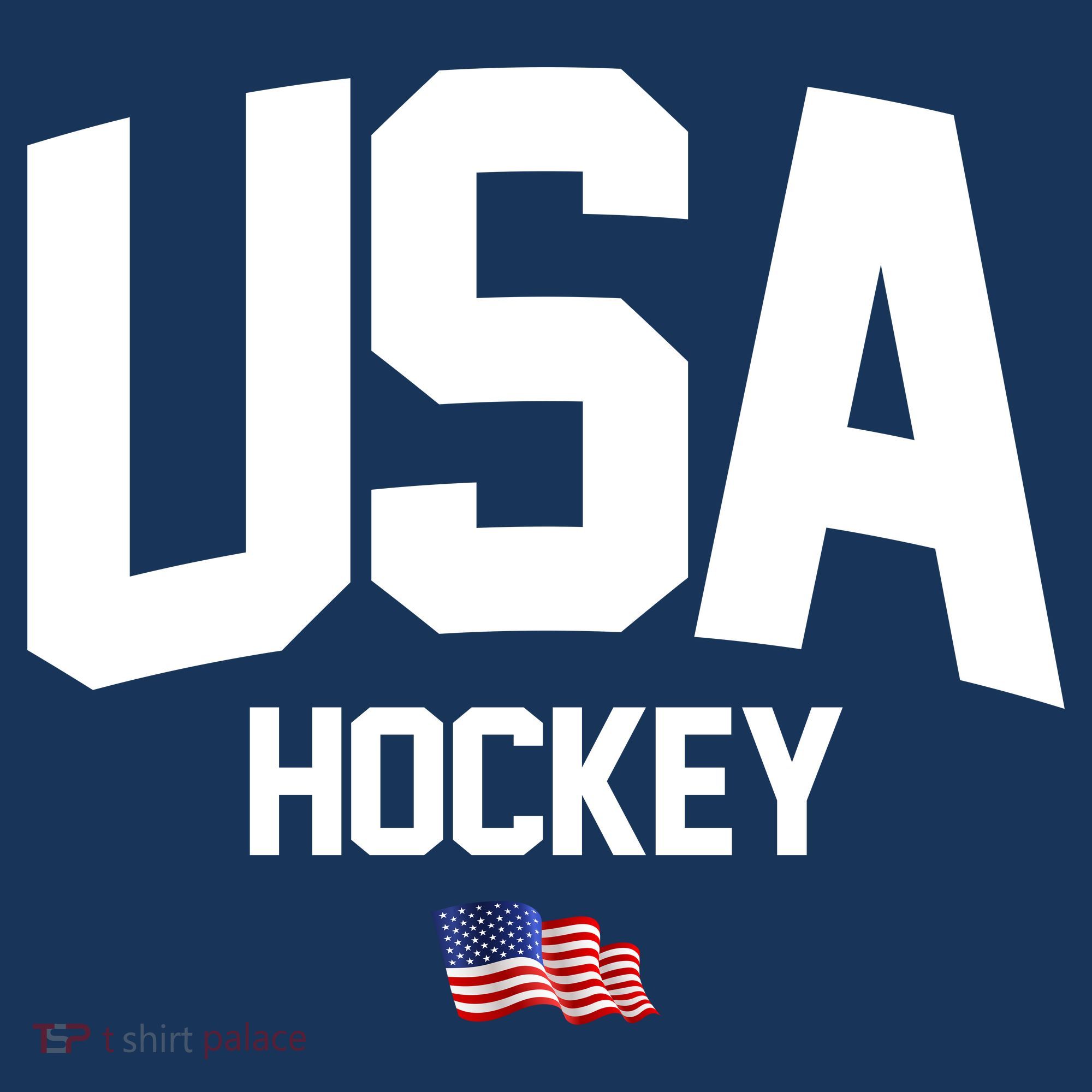 USA American Flag Hockey Women's Hoodie