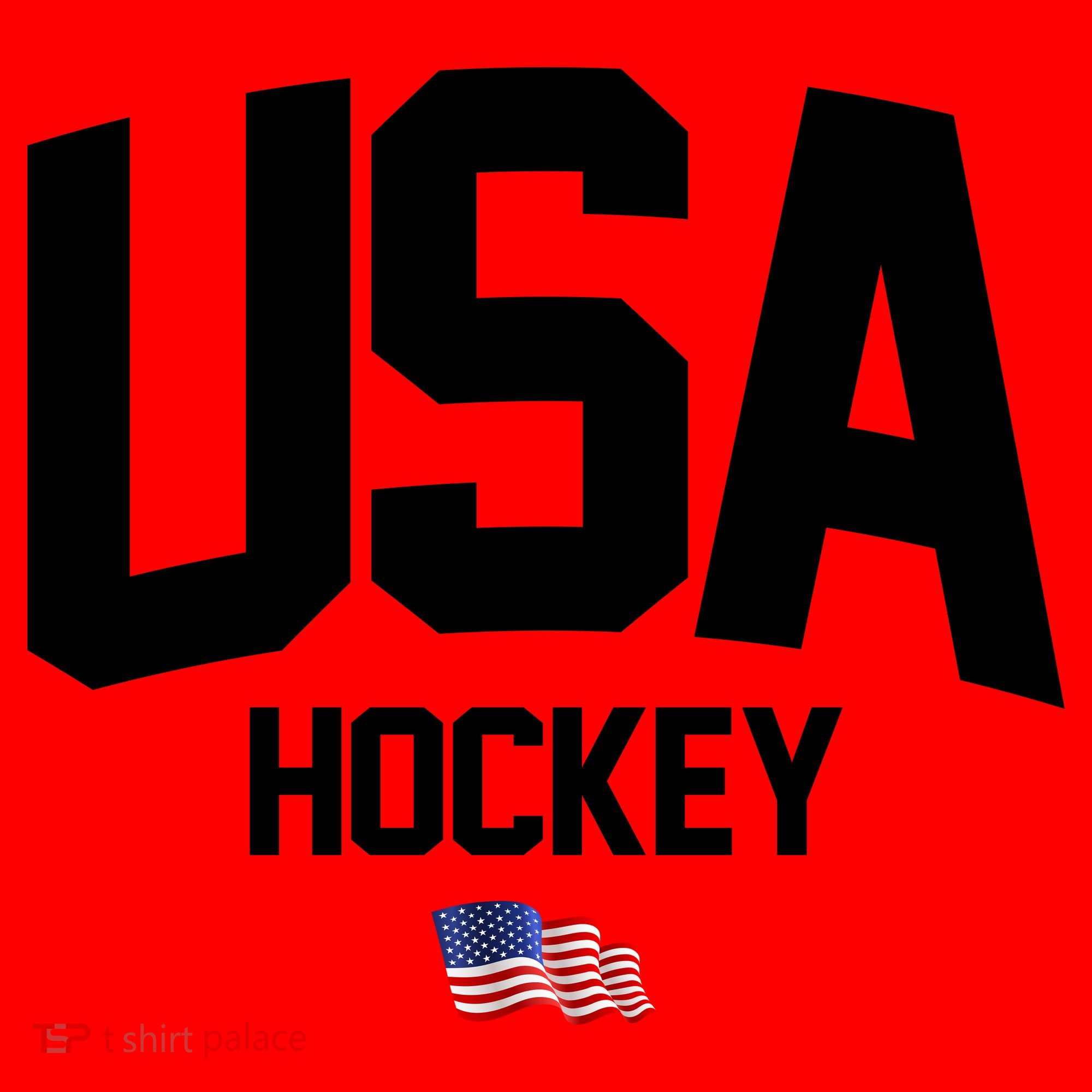 USA American Flag Hockey Santa Hat