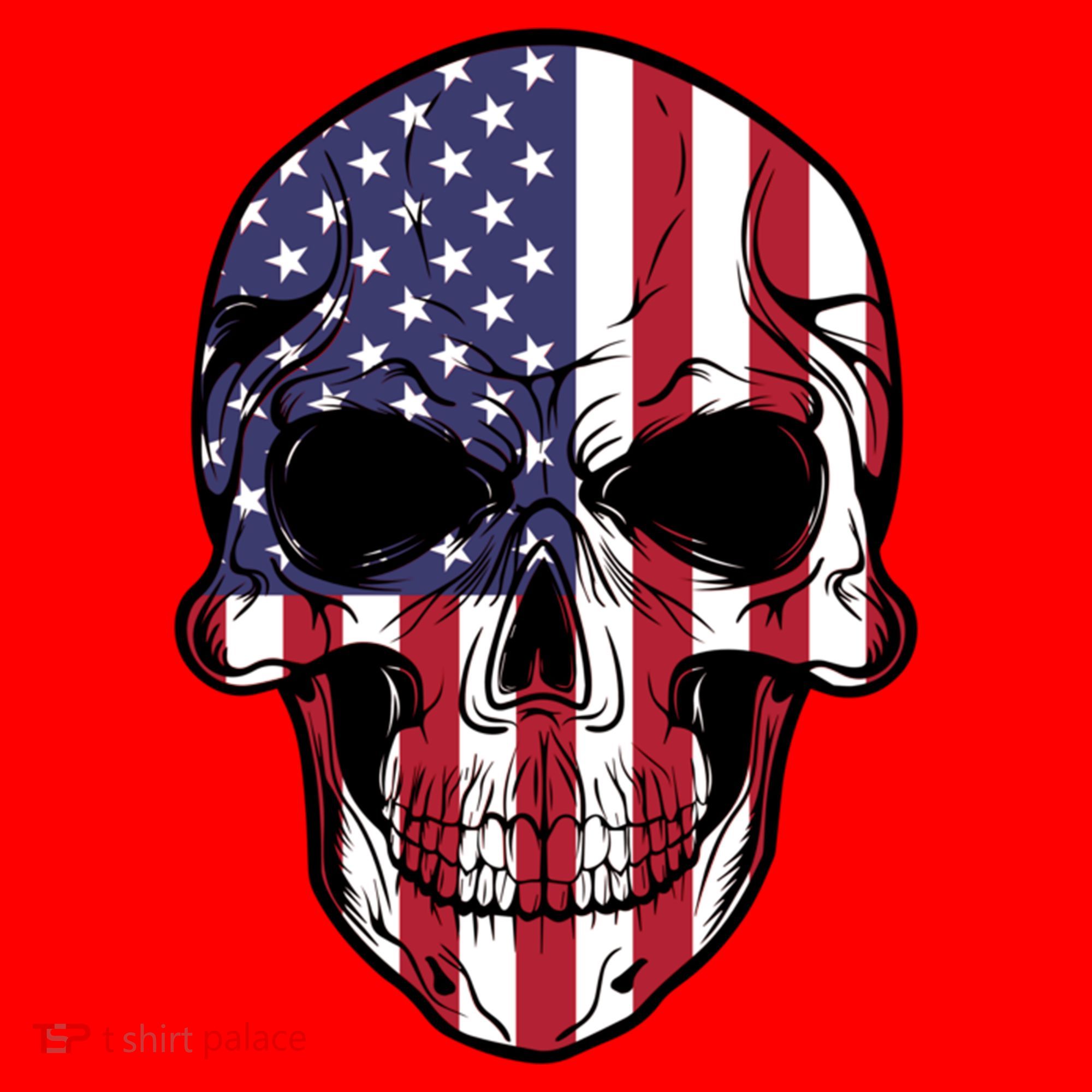 Us American Flag Patriotic Skull Gift Santa Hat