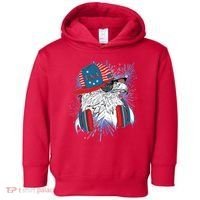 USA American Flag Fireworks Hip Hop Headphones Eagle Toddler Hoodie thumb 0