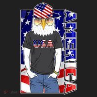 USA America Flag Hip Hop Eagle Beanie thumb 2
