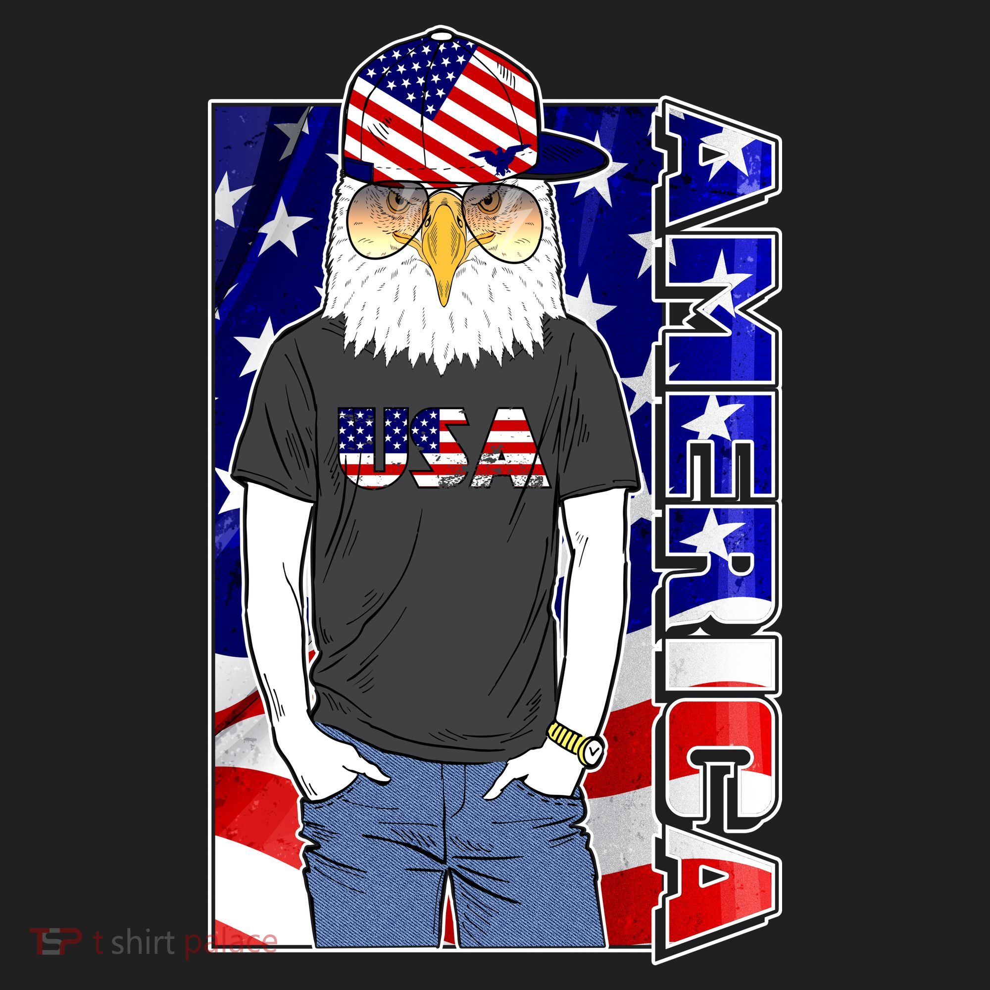 USA America Flag Hip Hop Eagle Hat