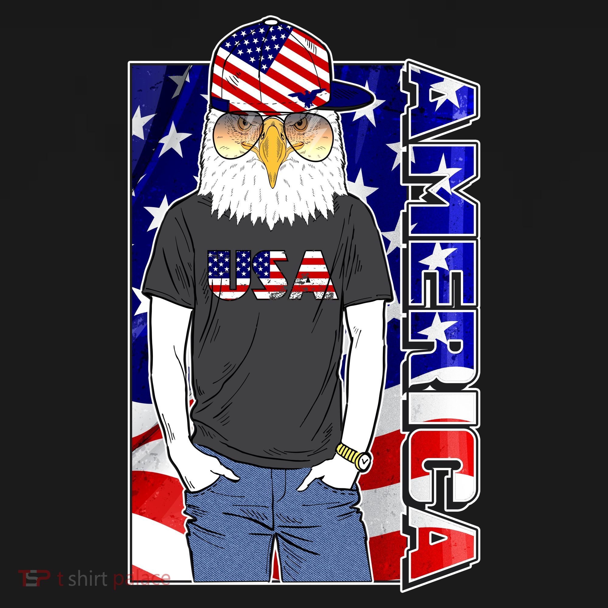 USA America Flag Hip Hop Eagle Visor