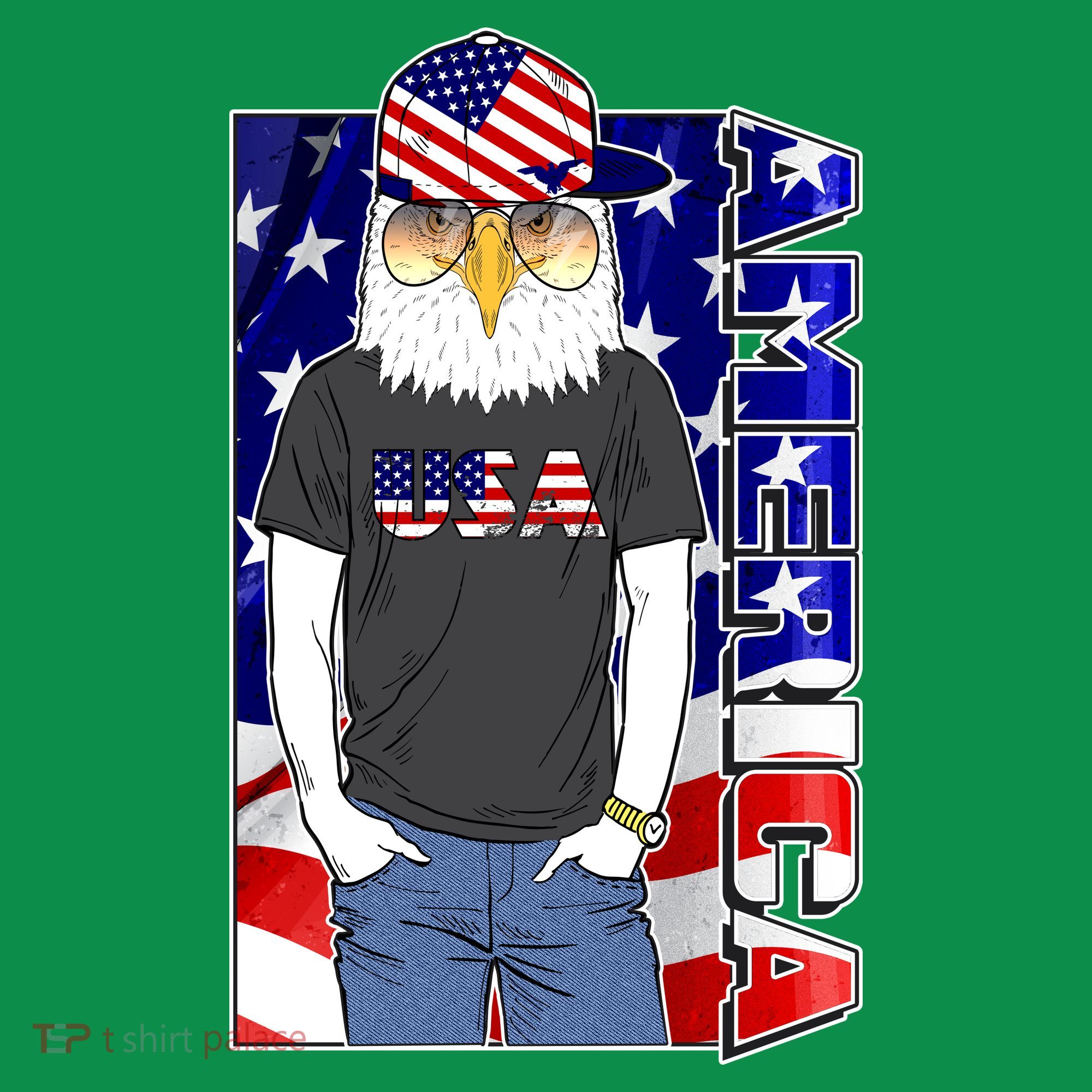 USA America Flag Hip Hop Eagle Long Sleeve Shirt