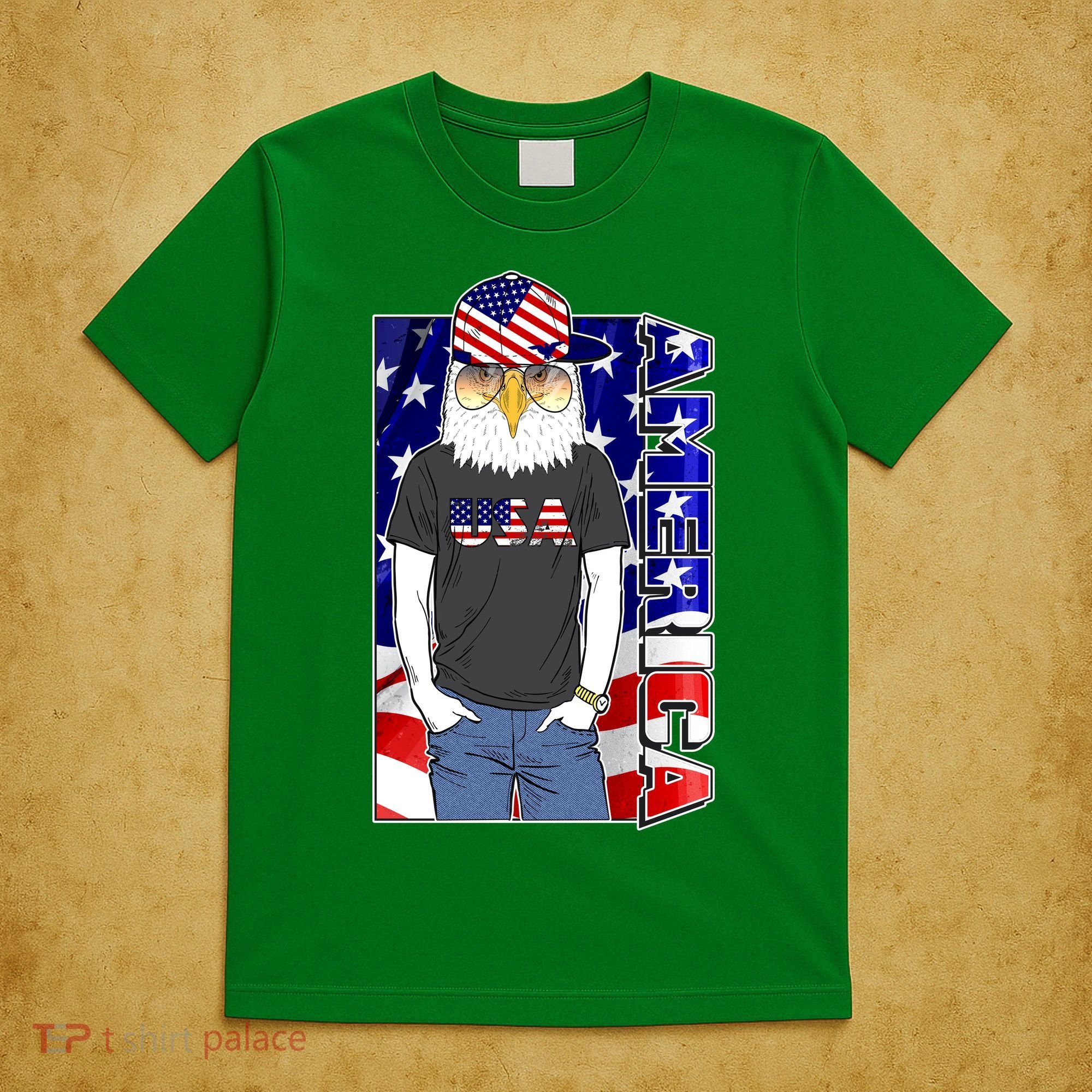 USA America Flag Hip Hop Eagle T-Shirt