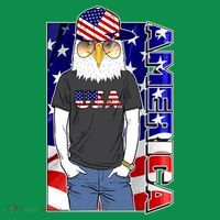 USA America Flag Hip Hop Eagle Ornament thumb 1