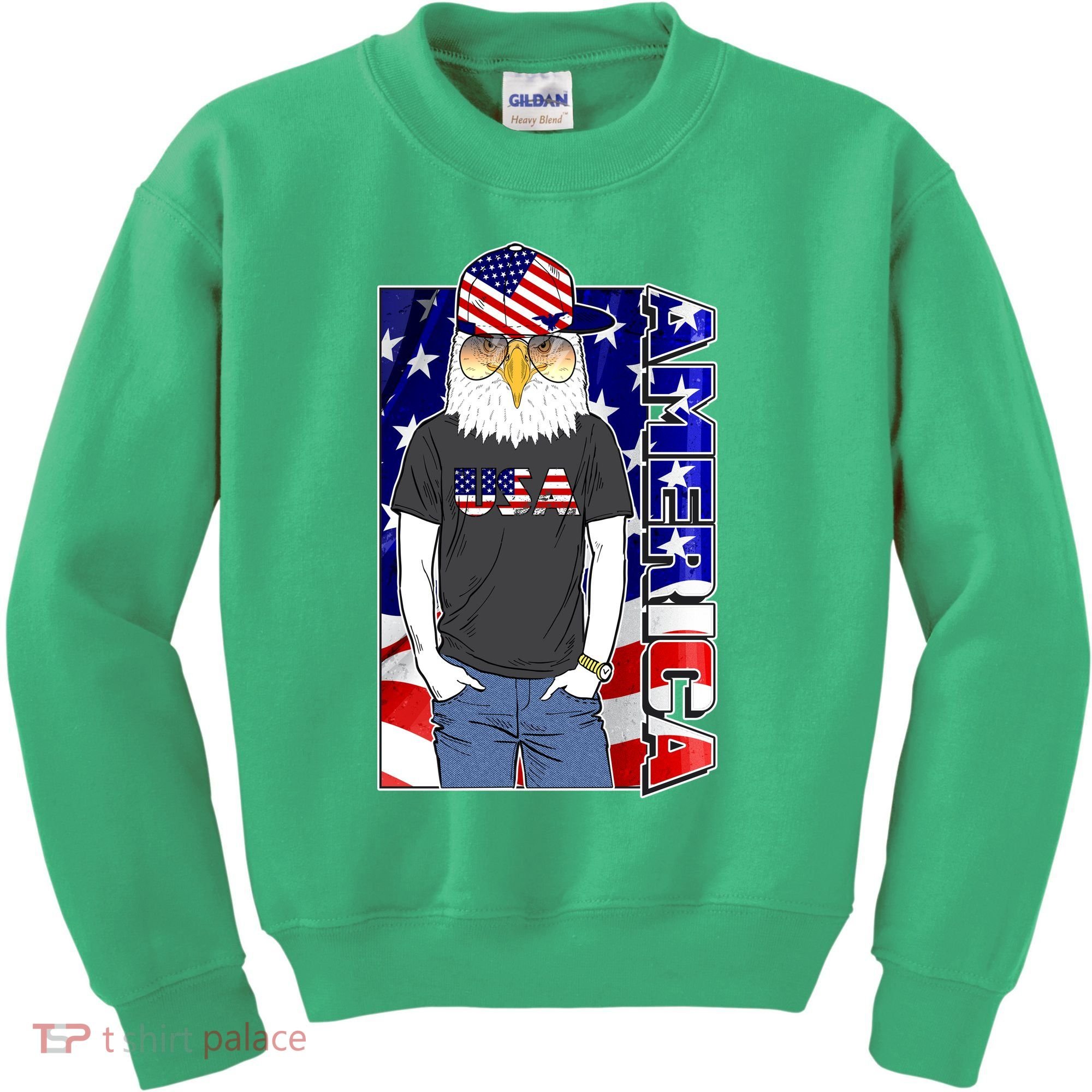 USA America Flag Hip Hop Eagle Kids Sweatshirt