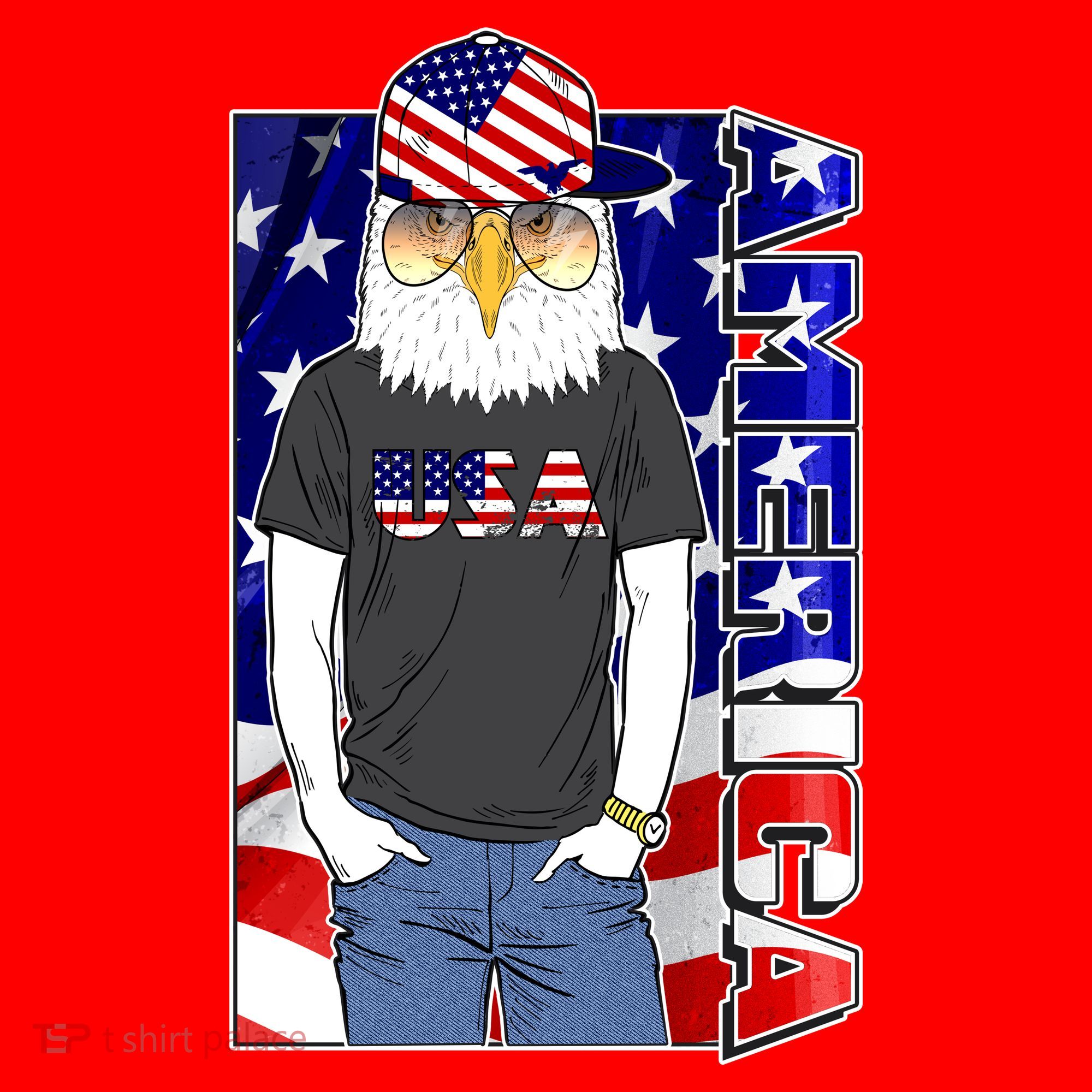 USA America Flag Hip Hop Eagle Santa Hat
