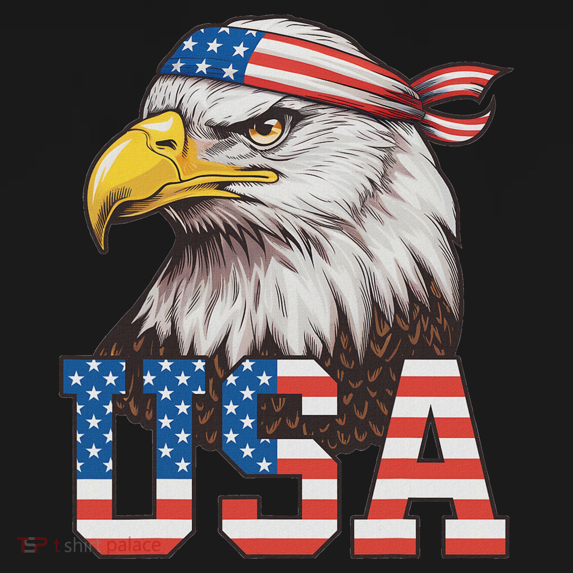 Usa American Flag Women Bald Eagle Patriotic Women's Hoodie