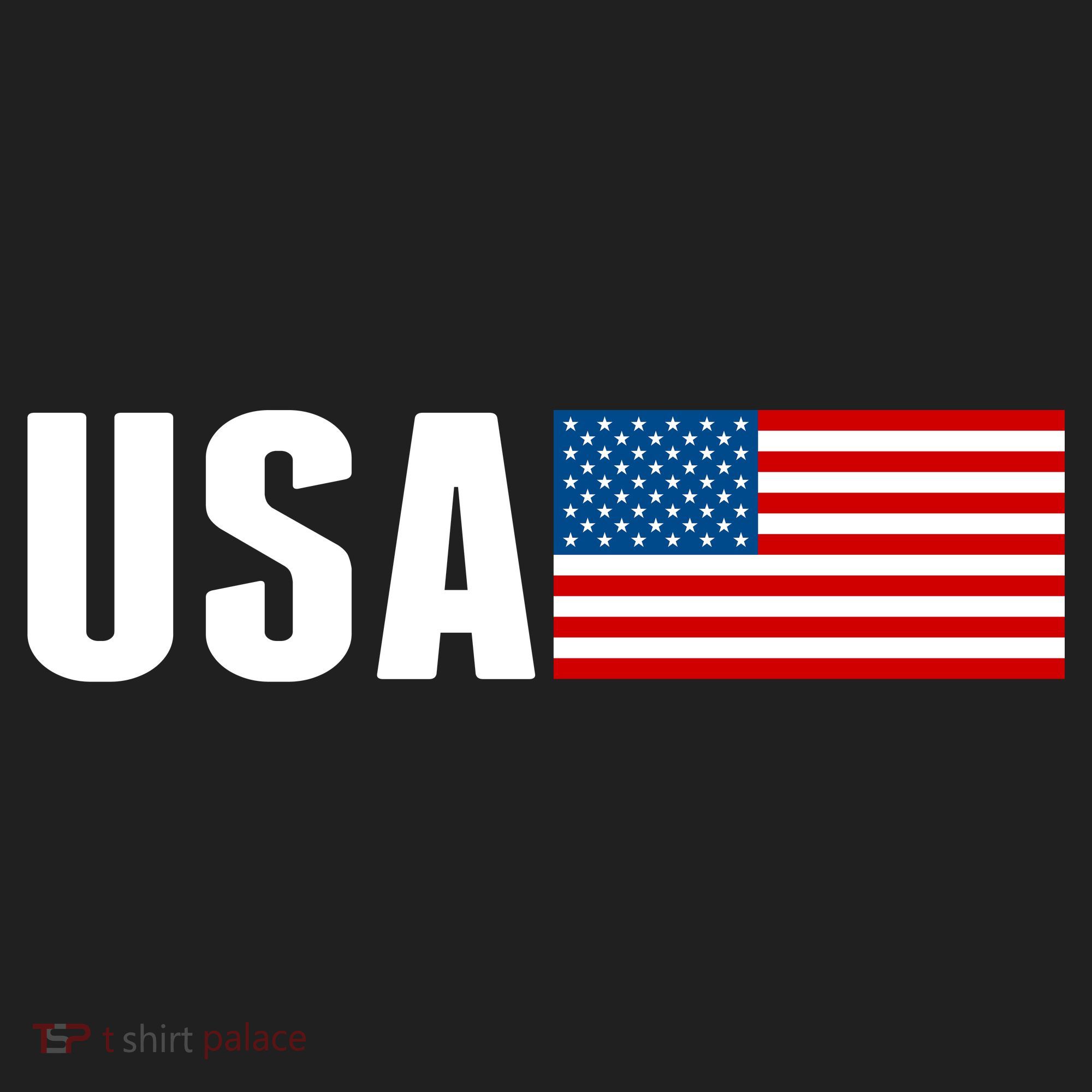 USA American Flag Logo Beanie