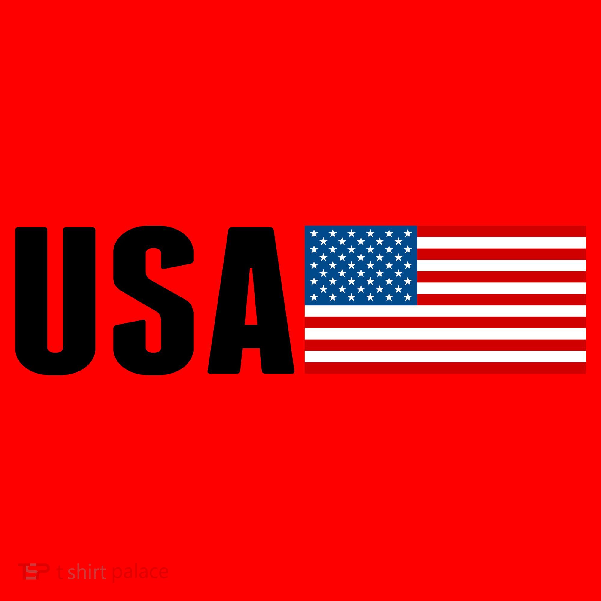 USA American Flag Logo Santa Hat