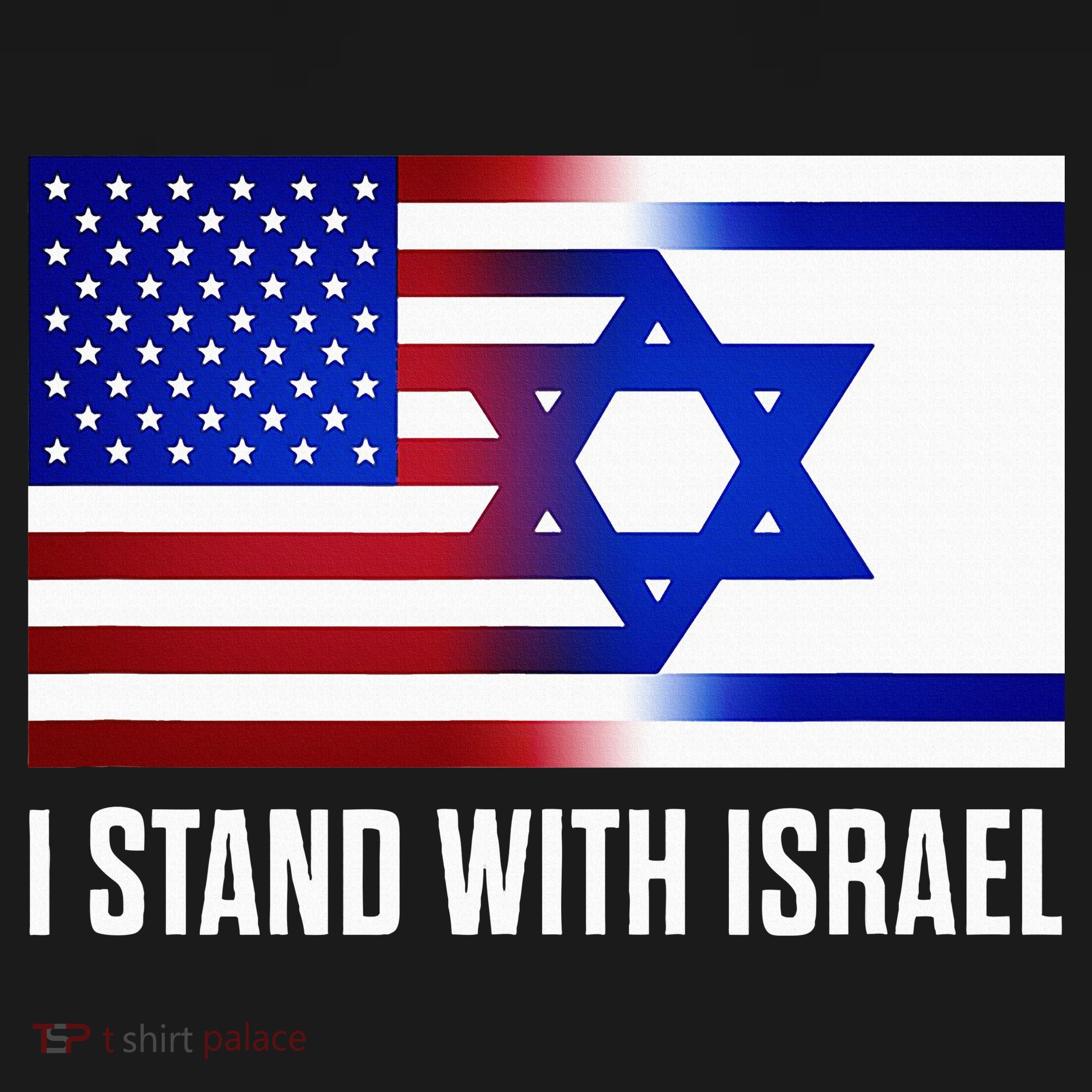 USA and Israel Flag Show Your Support Women's Tank Top