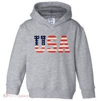 Usa American Pride Festive Toddler Hoodie thumb 0