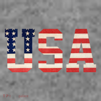 Usa American Pride Festive Toddler Hoodie thumb 2