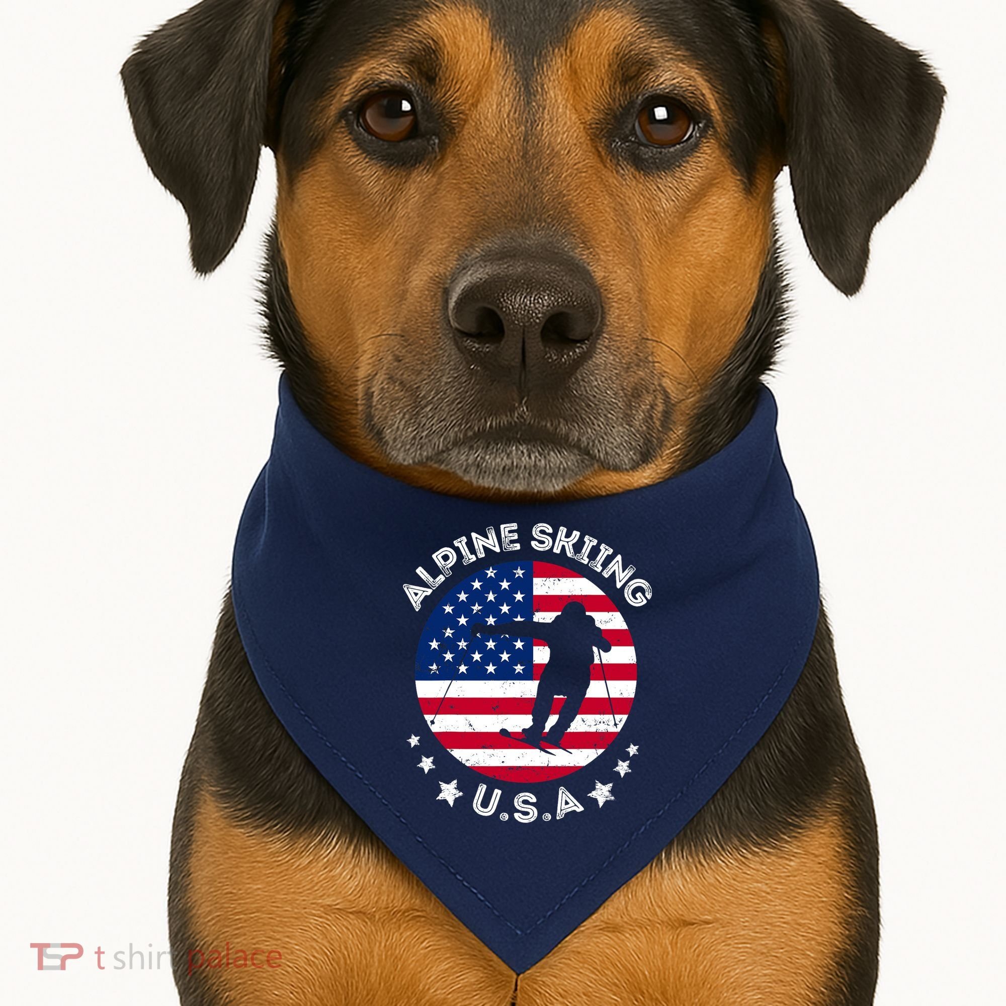 USA Alpine Skiing Team Retro Support USA Downhill Skiing USA-Made Doggie Bandana