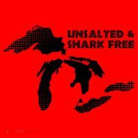 Unsalted And Shark Free Great Lakes Mi Michiganian Pride Gift Santa Hat thumb 1