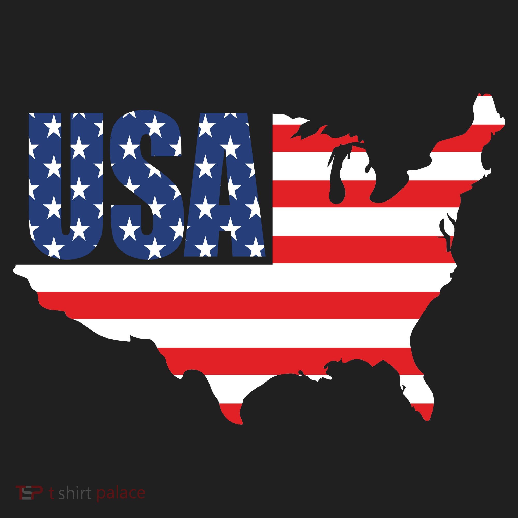 USA American US Flag Map Patriotic Beanie