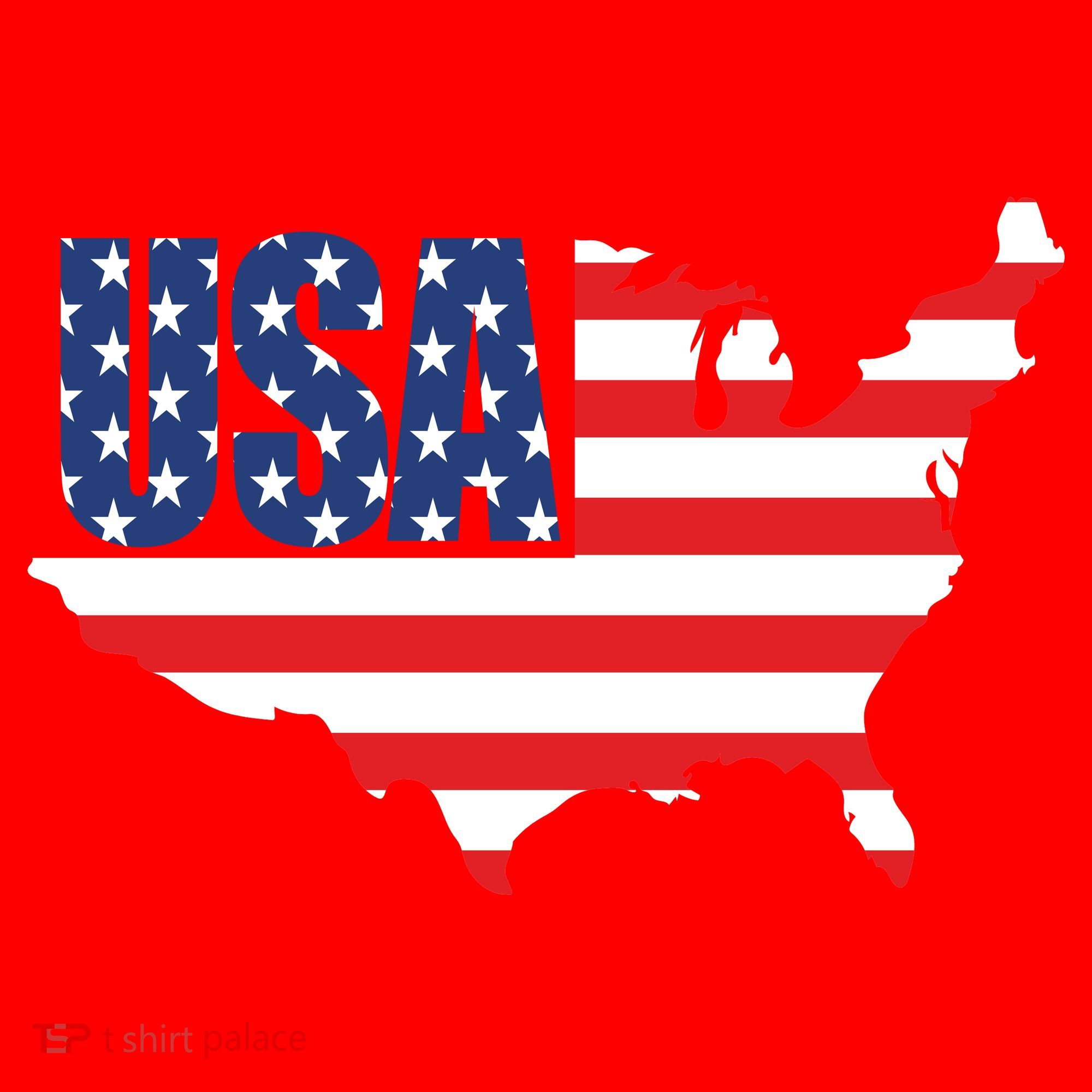 USA American US Flag Map Patriotic Santa Hat