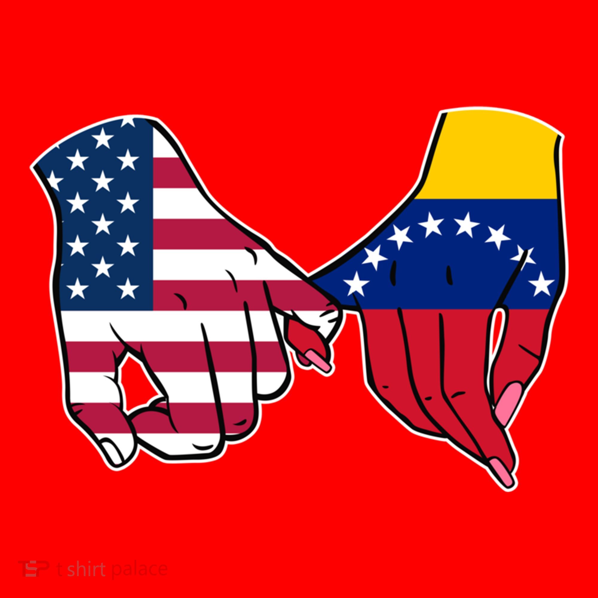 Usa And Venezuela Flags Hands Together Cute Gift Santa Hat