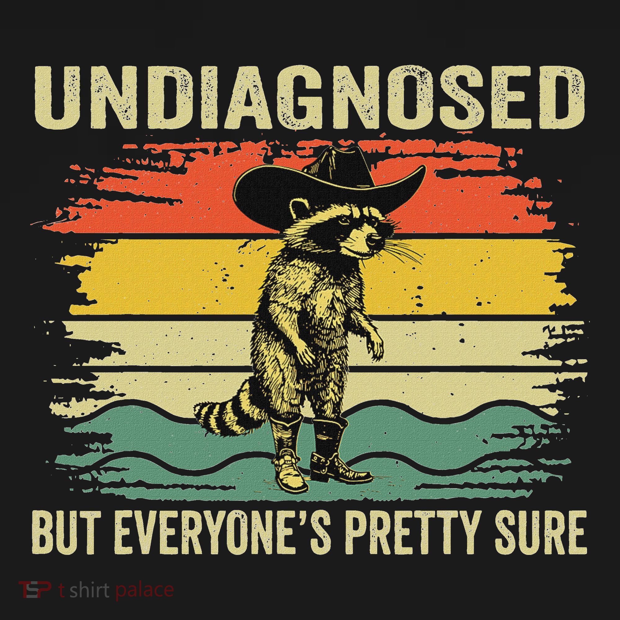 Undiagnosed But EveryoneS Pretty Sure Raccoon Women's Hoodie