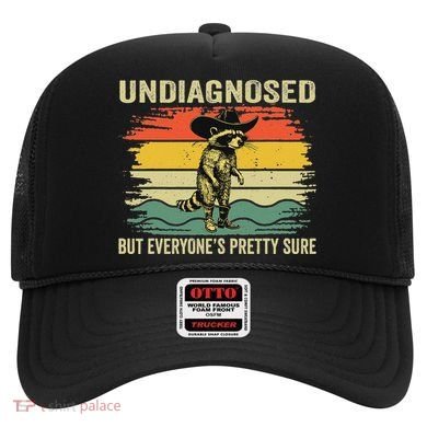 Undiagnosed But EveryoneS Pretty Sure Raccoon Hat