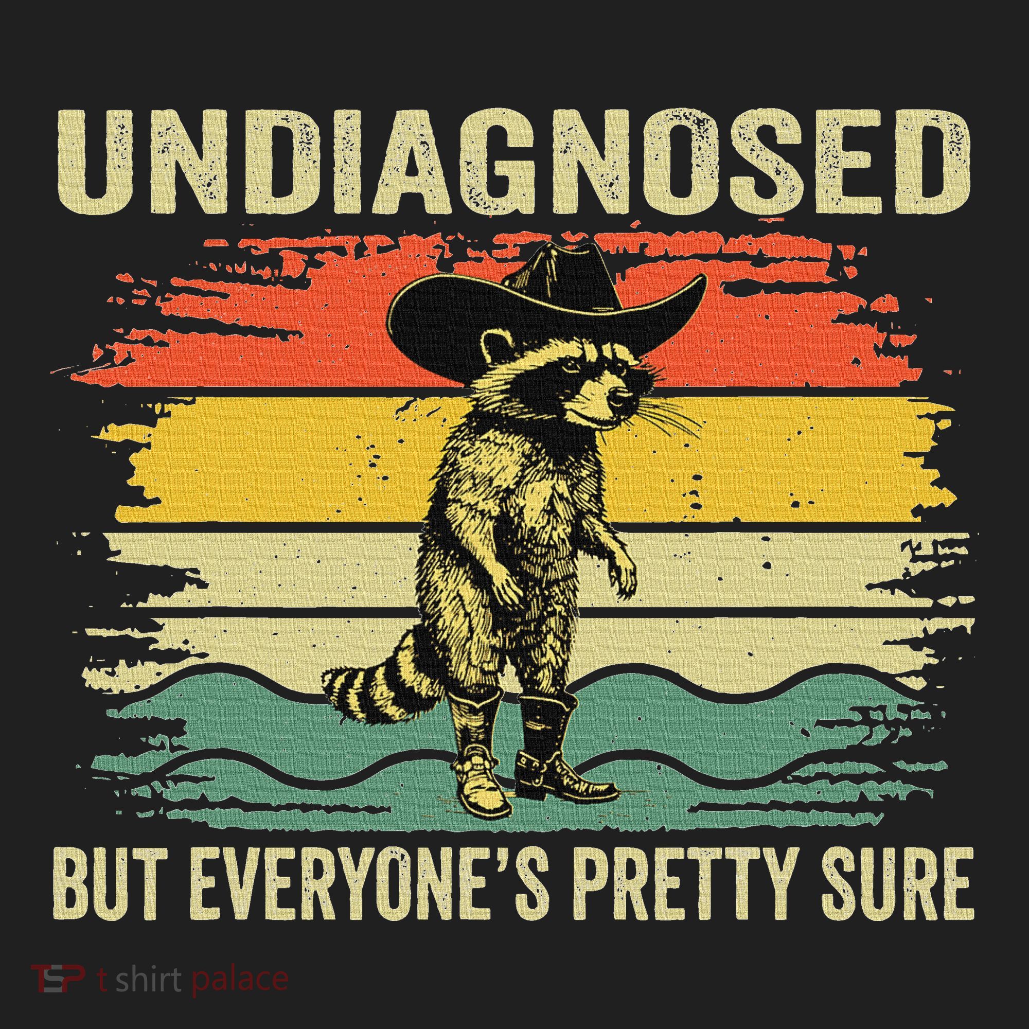 Undiagnosed But EveryoneS Pretty Sure Raccoon Hat