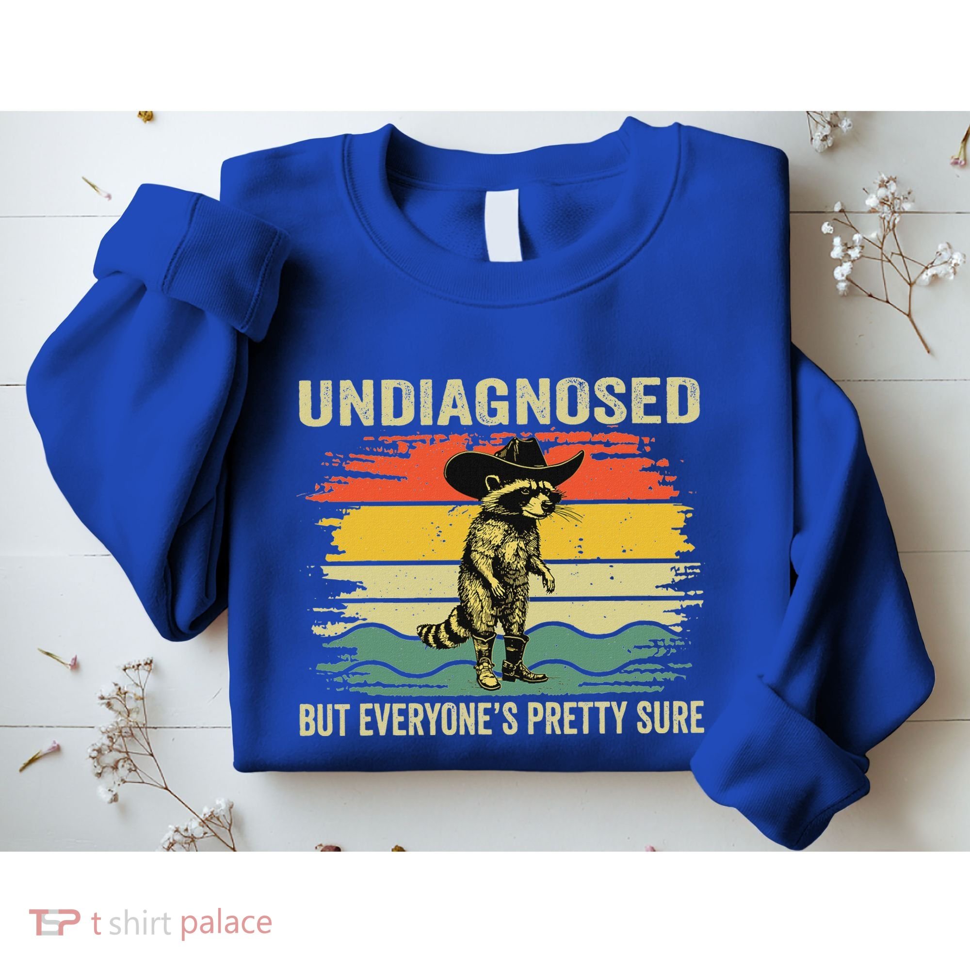 Undiagnosed But EveryoneS Pretty Sure Raccoon Sweatshirt