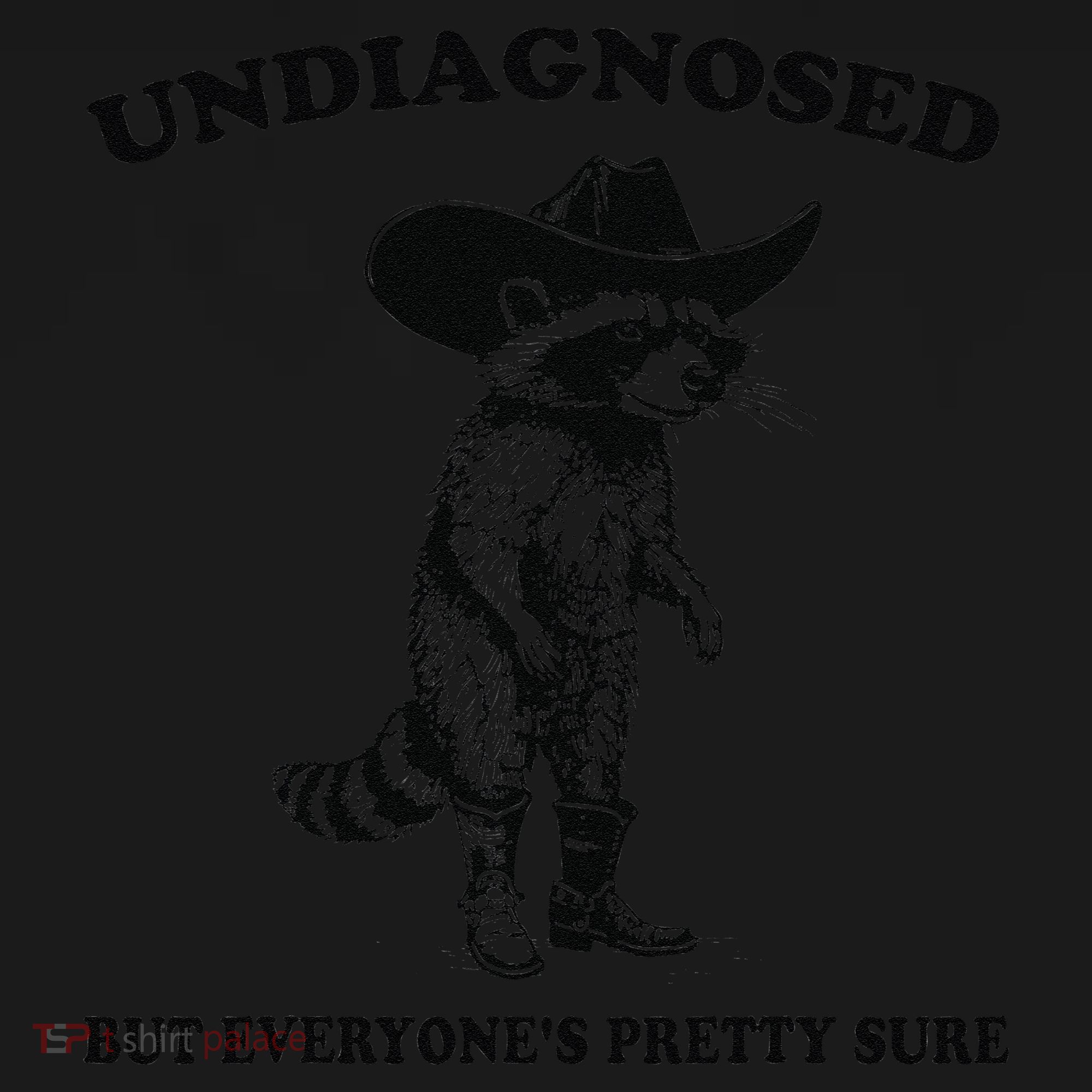 Undiagnosed But EveryoneS Pretty Sure Funny Cowboy Raccoon Gift Women's Hoodie