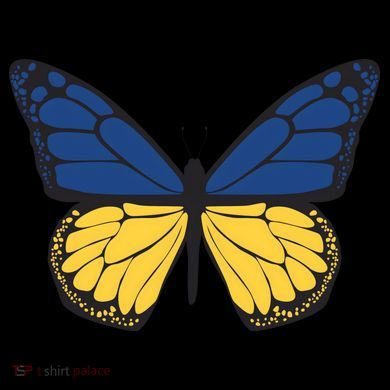 Ukraine Butterfly Illustration Kids Colorblock Raglan Jersey