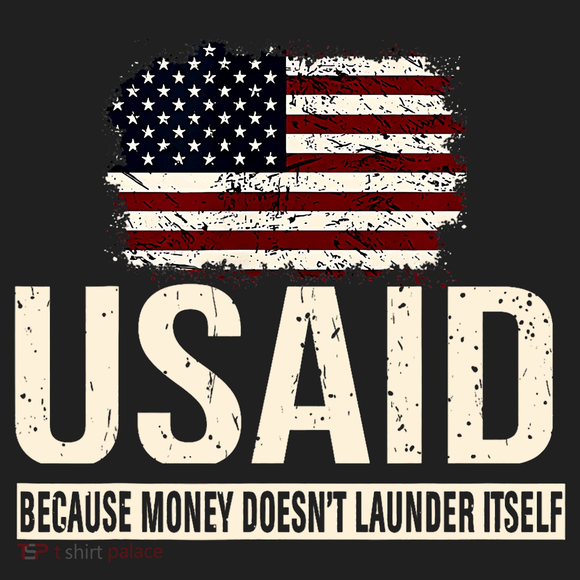 Usaid Because Money Doesn’T Launder Itself Us Americans Beanie