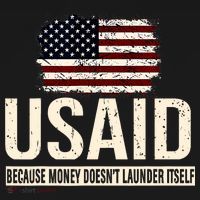 Usaid Because Money Doesn’T Launder Itself Us Americans Kids Hoodie thumb 5