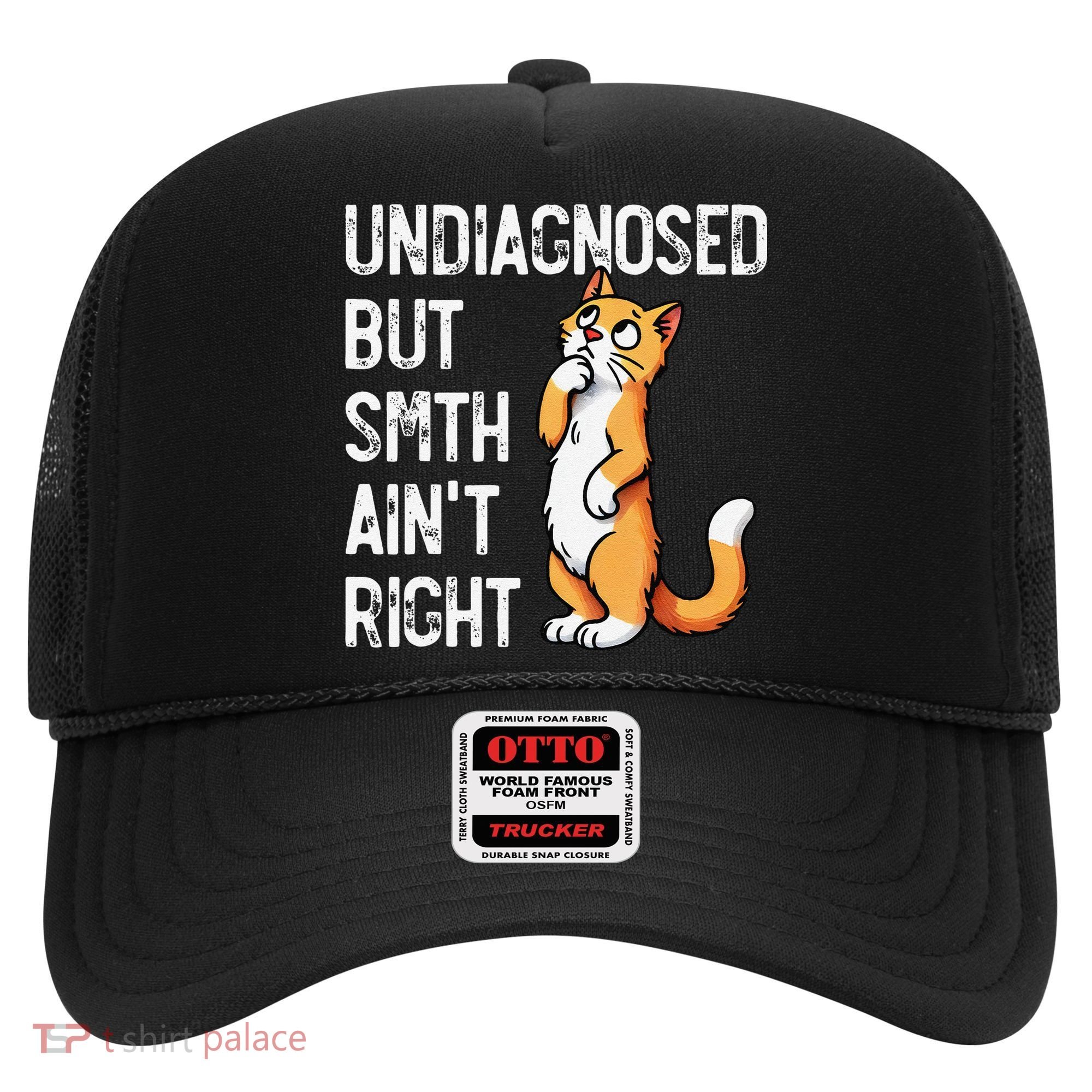 Undiagnosed But Something AinT Right Funny Cat Saying Meme Hat