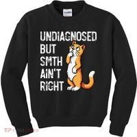 Undiagnosed But Something AinT Right Funny Cat Saying Meme Kids Sweatshirt thumb 0