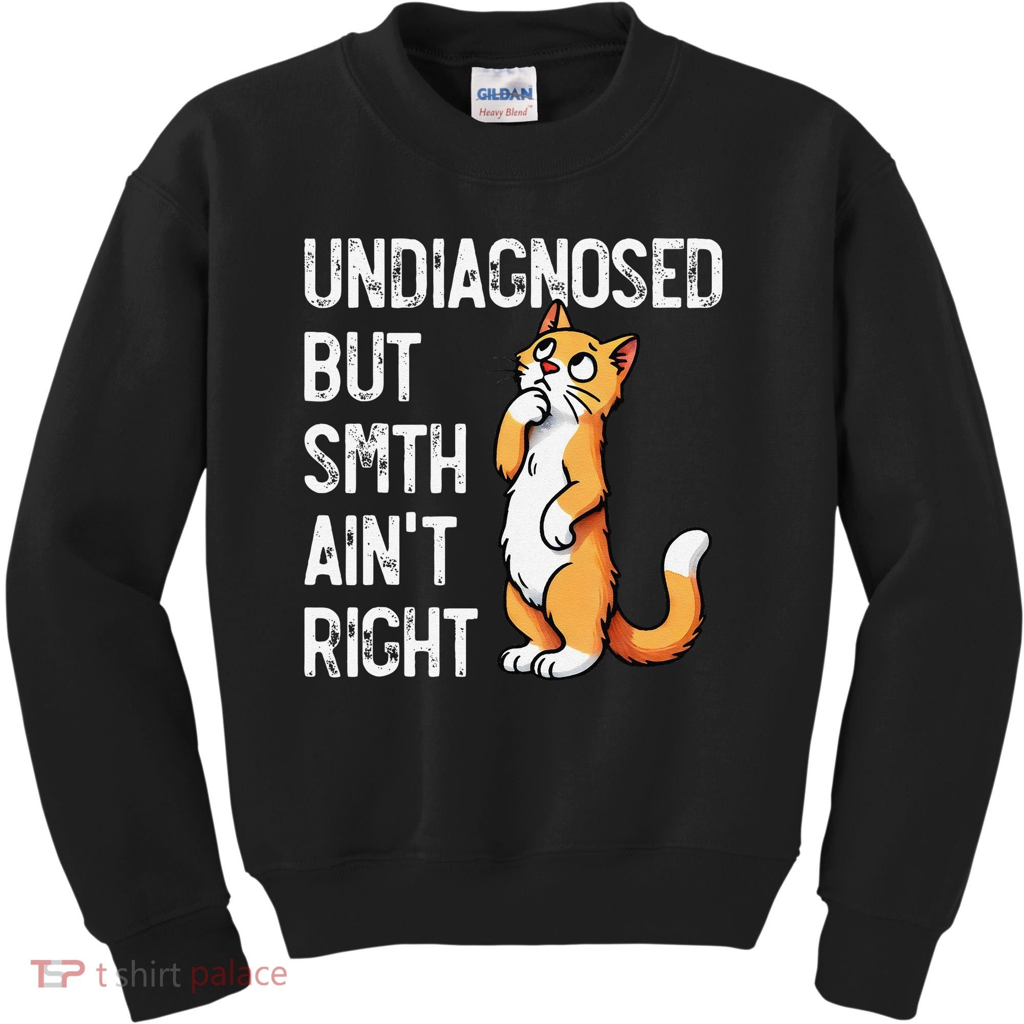 Undiagnosed But Something AinT Right Funny Cat Saying Meme Kids Sweatshirt