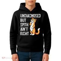 Undiagnosed But Something AinT Right Funny Cat Saying Meme Kids Hoodie thumb 4