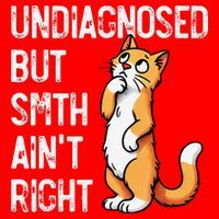 Undiagnosed But Something AinT Right Funny Cat Saying Meme Santa Hat thumb 1