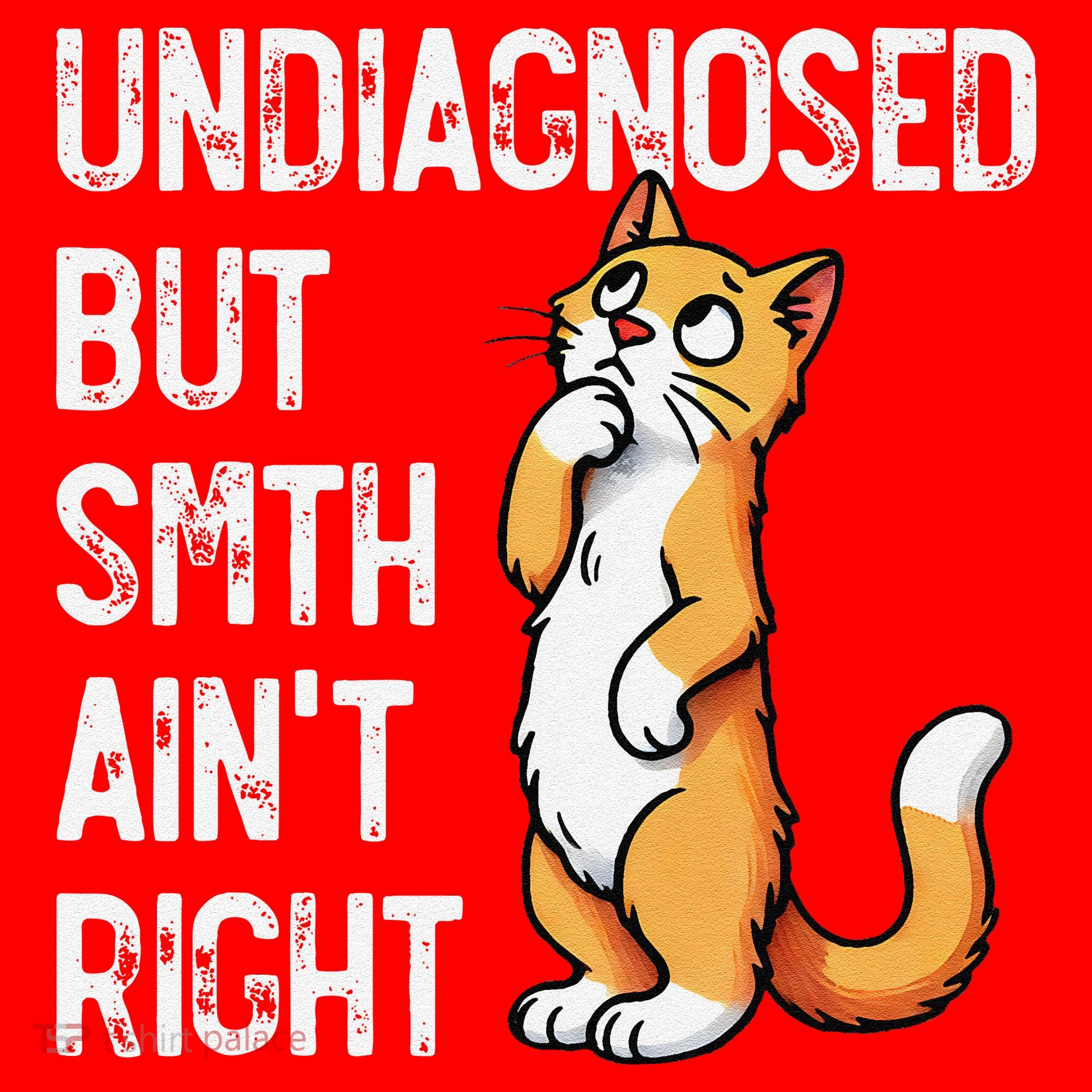 Undiagnosed But Something AinT Right Funny Cat Saying Meme Santa Hat
